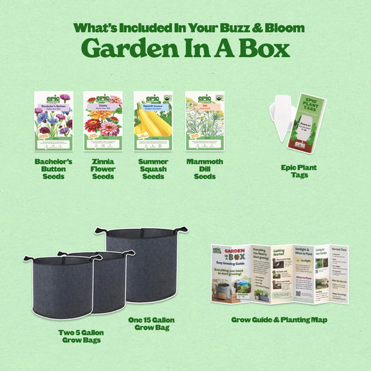 Epic Garden in a Box – Buzz & Bloom (Level 1)
