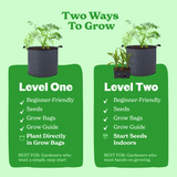 Buzz & Bloom (Level 1)