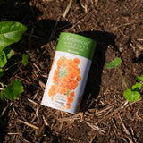 Orange California Poppy Seed Shaker