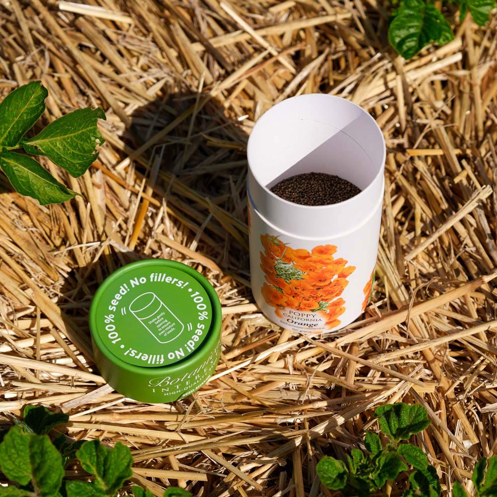 Orange California Poppy Seed Shaker