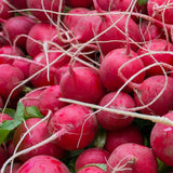 Cherry Belle Radish Seeds