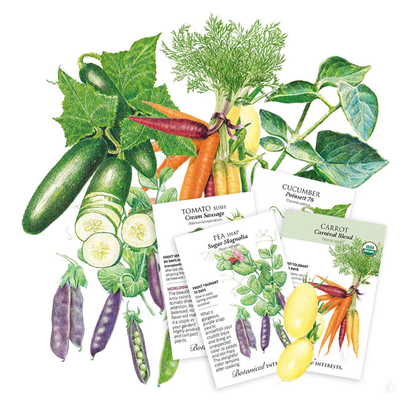 Crudité Platter