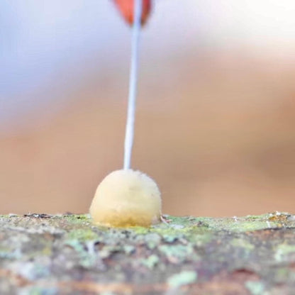 Log Inoculation Sealing Wax