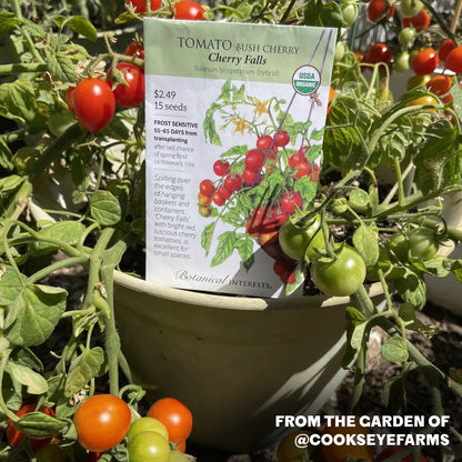 Cherry Falls Bush Cherry Tomato Seeds
