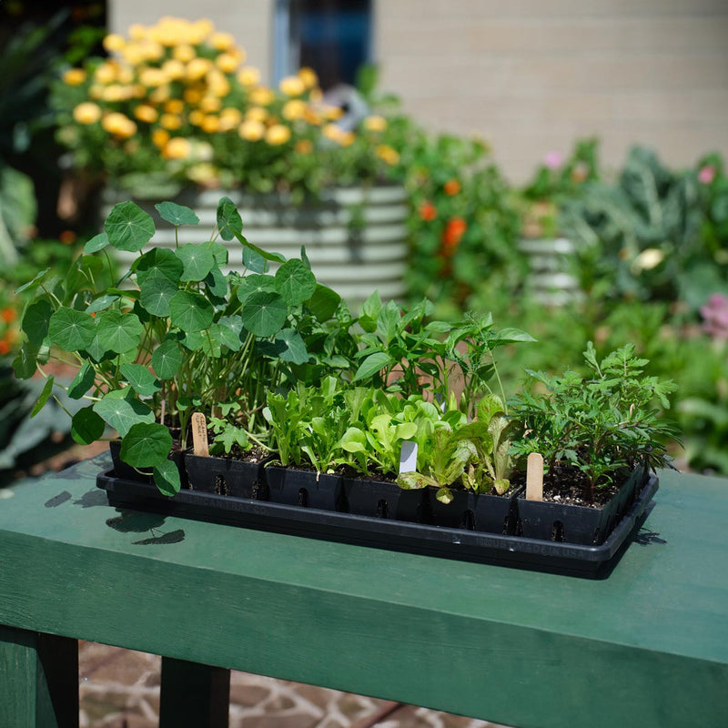 seed sheet garden The Essential Seed Starting Kit