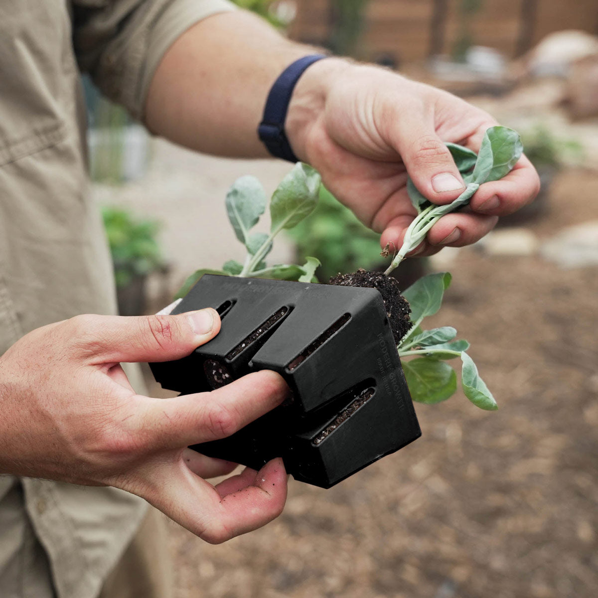 The Essential Seed Starting Kit Epic Gardening