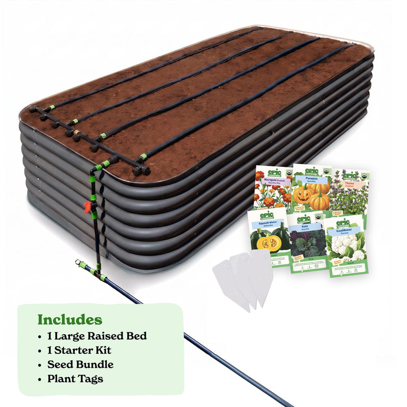 Seed to Harvest Bundle — Go Big or Go Home — Back Friendly