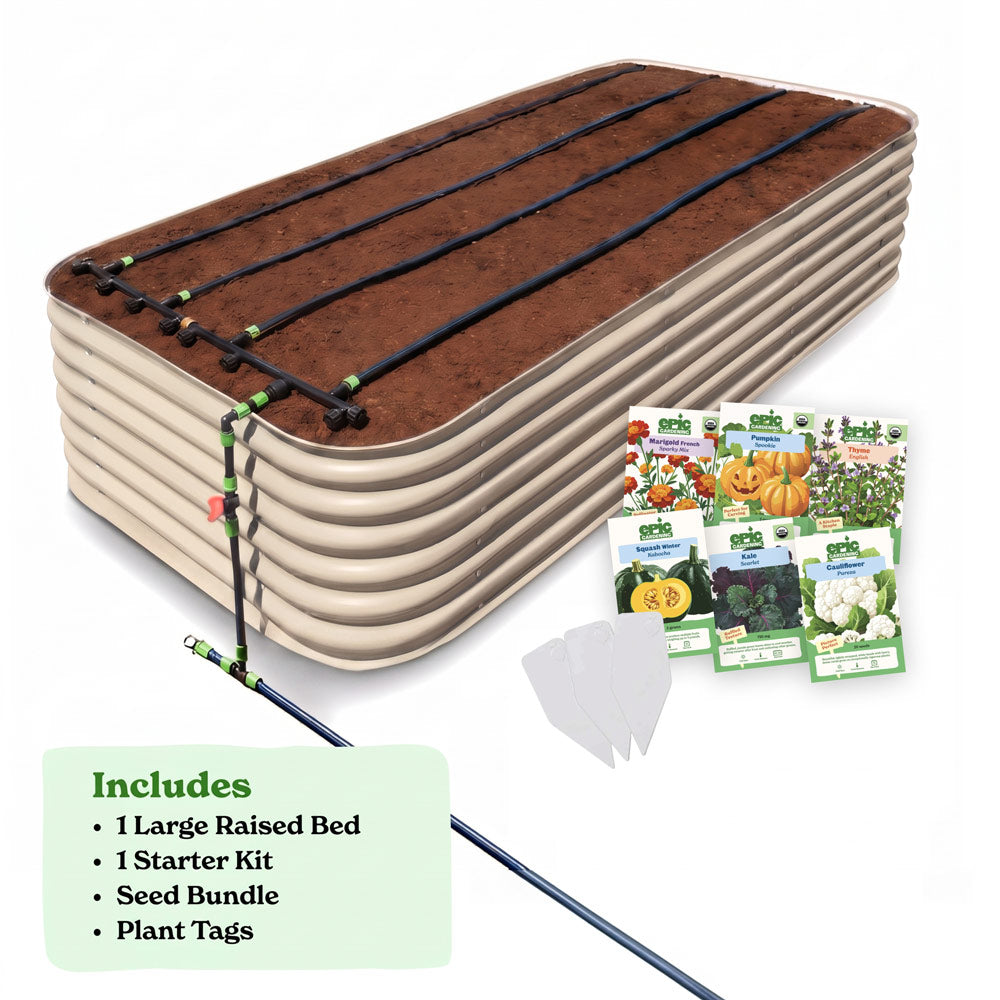 Seed to Harvest Bundle — Go Big or Go Home — Back Friendly