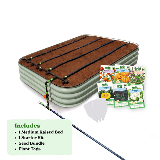Seed to Harvest Bundle — Get the Basics — Classic