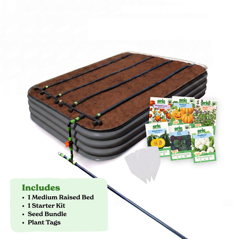 Seed to Harvest Bundle — Get the Basics — Classic
