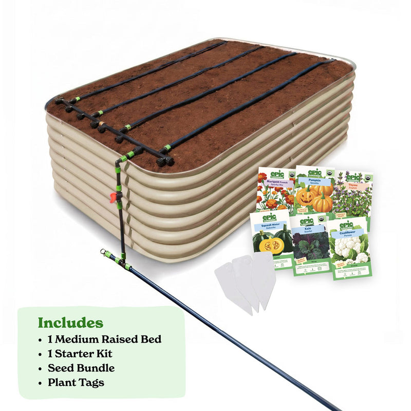 Seed to Harvest Bundle — Get the Basics — Back Friendly