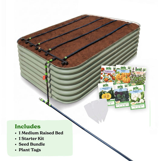 Seed to Harvest Bundle — Get the Basics — Back Friendly