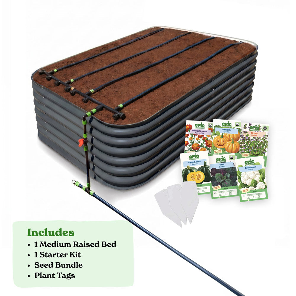 Seed to Harvest Bundle — Get the Basics — Back Friendly
