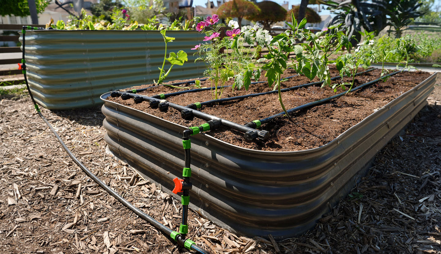 Three connected raised beds using the Epic Watering System