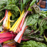 Five Color Silverbeet Swiss Chard Seeds