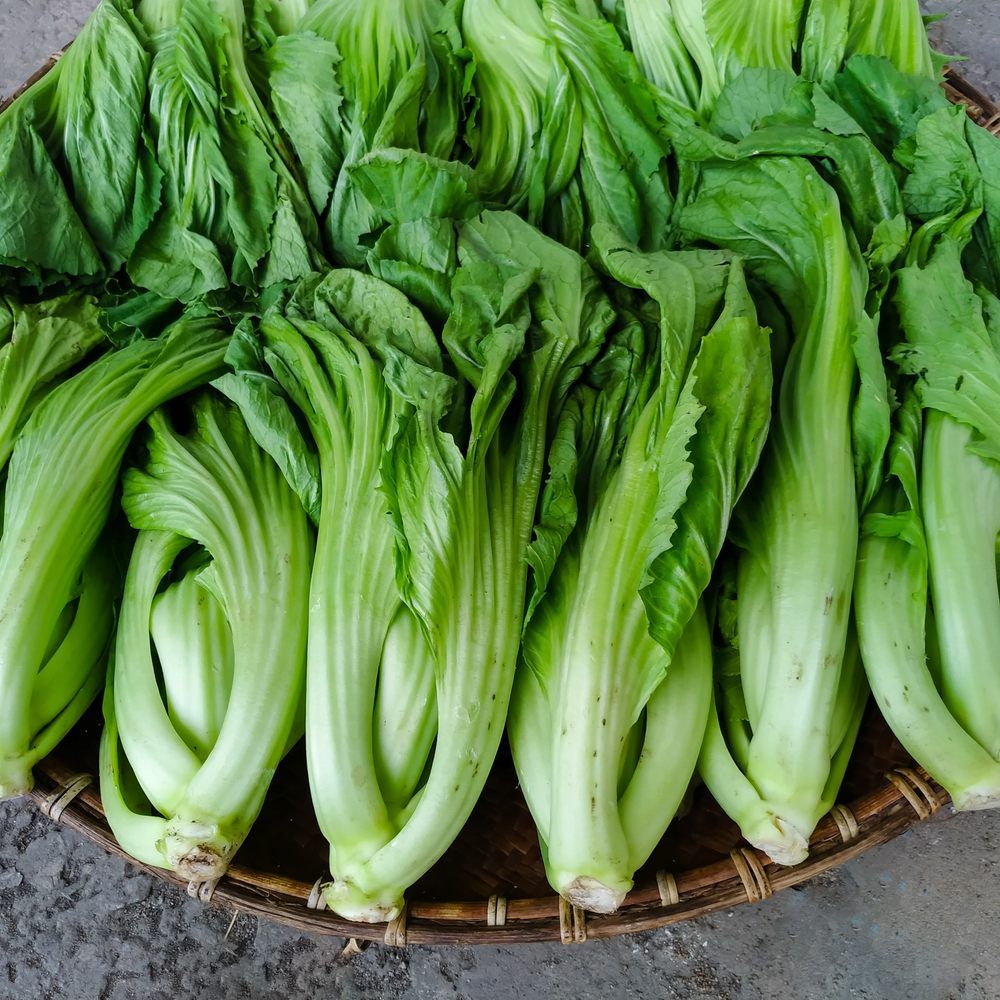 Gai Choy Mustard Seeds