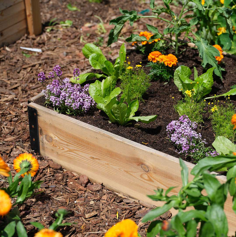 Epic GardenBox