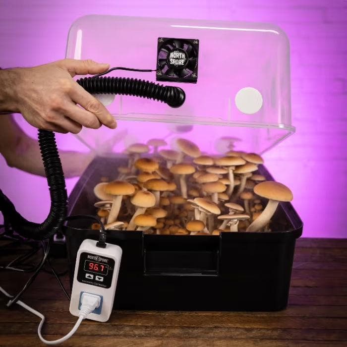 Automated 'Boomr Bin' Mushroom Monotub Kit