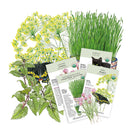 Herbal Garden