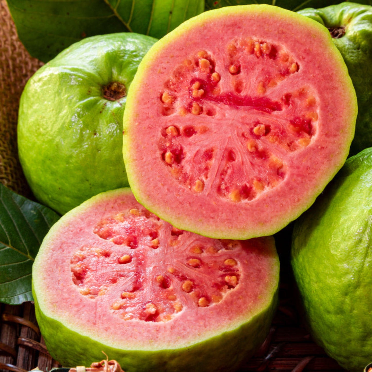 Ruby Supreme Guava Tree