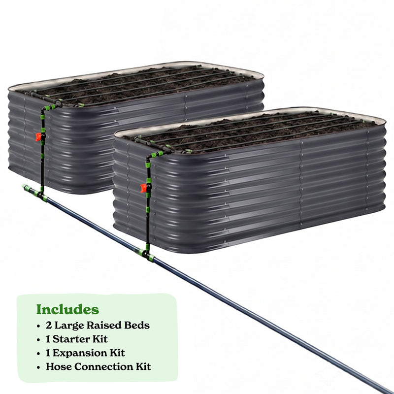 2-Pack Large 29