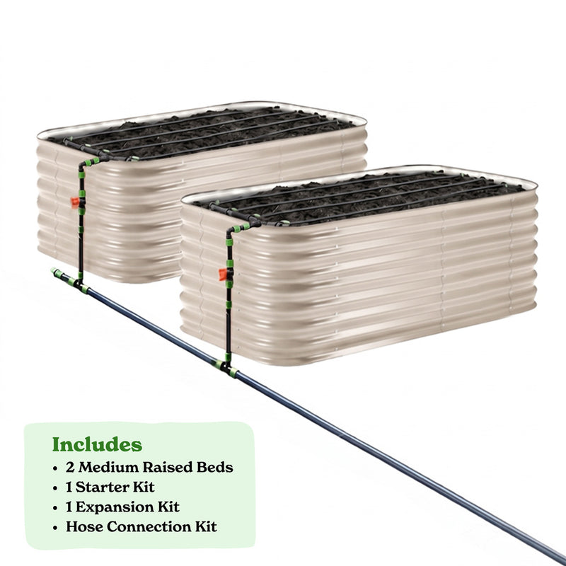 2-Pack Medium 29