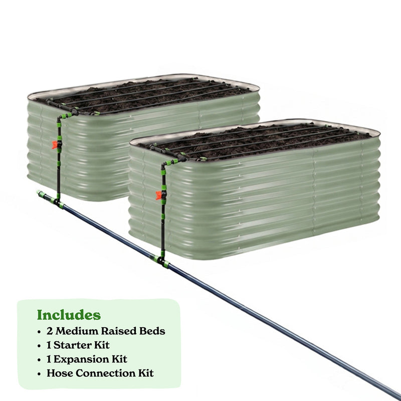2-Pack Medium 29