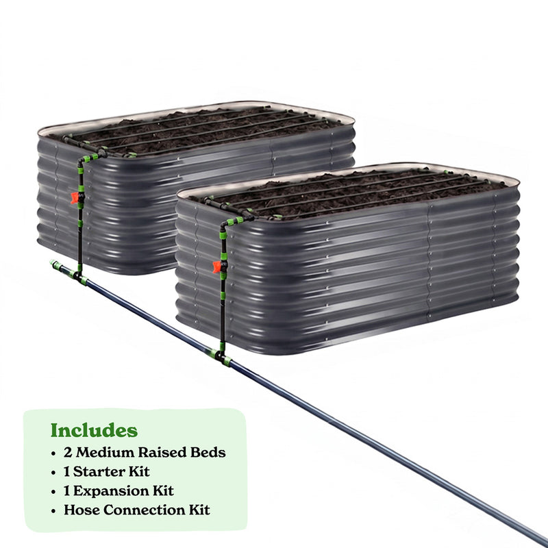2-Pack Medium 29