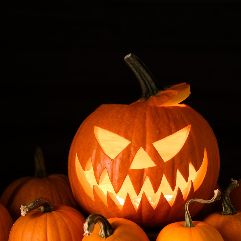 再販可能＊ふかふか刺繍スタイ＊Jack-o'-Lantern＊ Jack O'Lantern Pumpkin Seeds – Epic Gardening