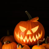 Jack O'Lantern Pumpkin Seeds