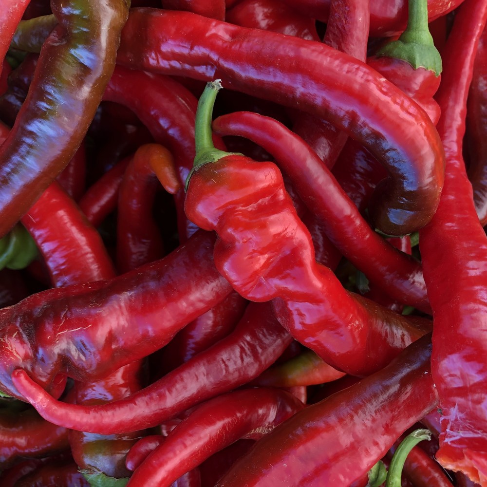 Botanical Interests Jimmy Nardello Pepper Seeds