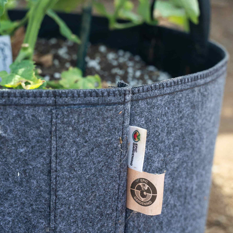 grow bags for plants near me Epic Grow Bags