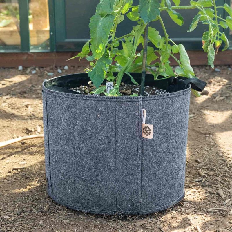 plants for grow bags Epic Grow Bags
