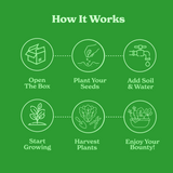 Little Italy (Level 2)