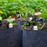 Little Italy (Level 2)