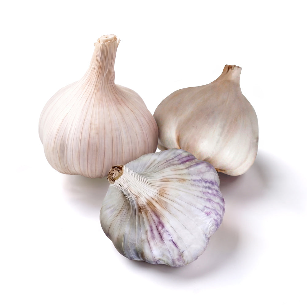 Long Storage Garlic Bundle