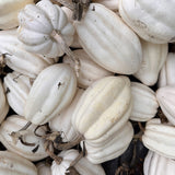 Mashed Potatoes Acorn Winter Squash Seeds