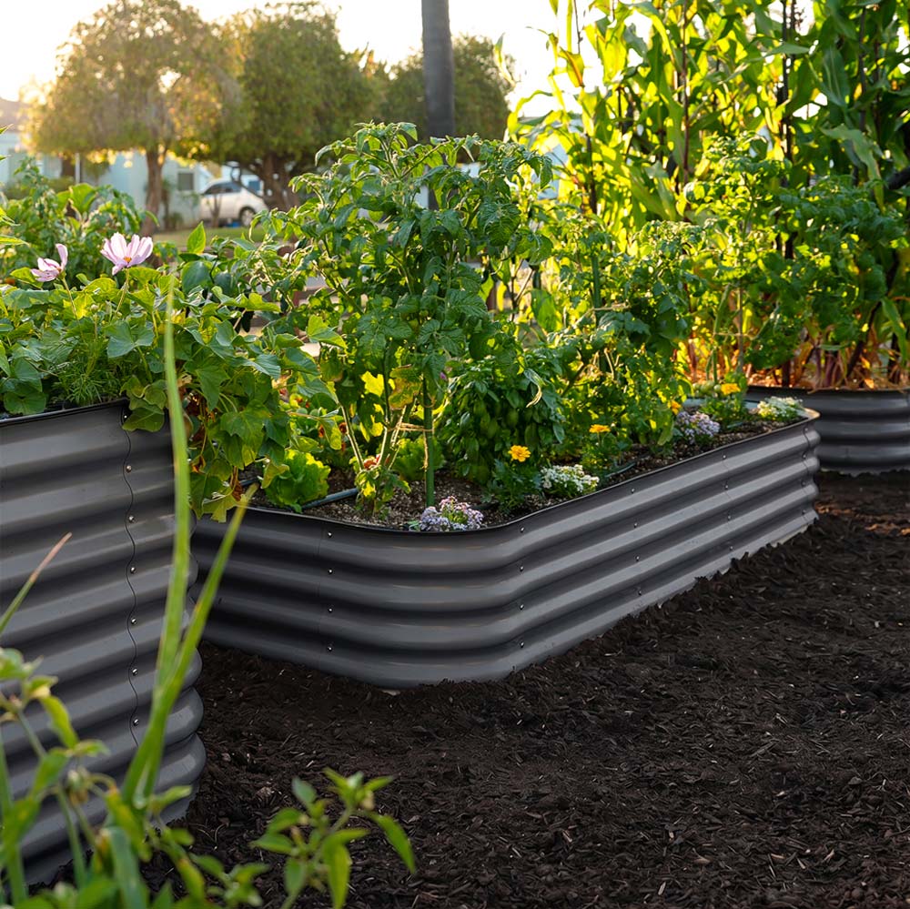 Medium Modular Metal Raised Garden Bed - 15" Tall