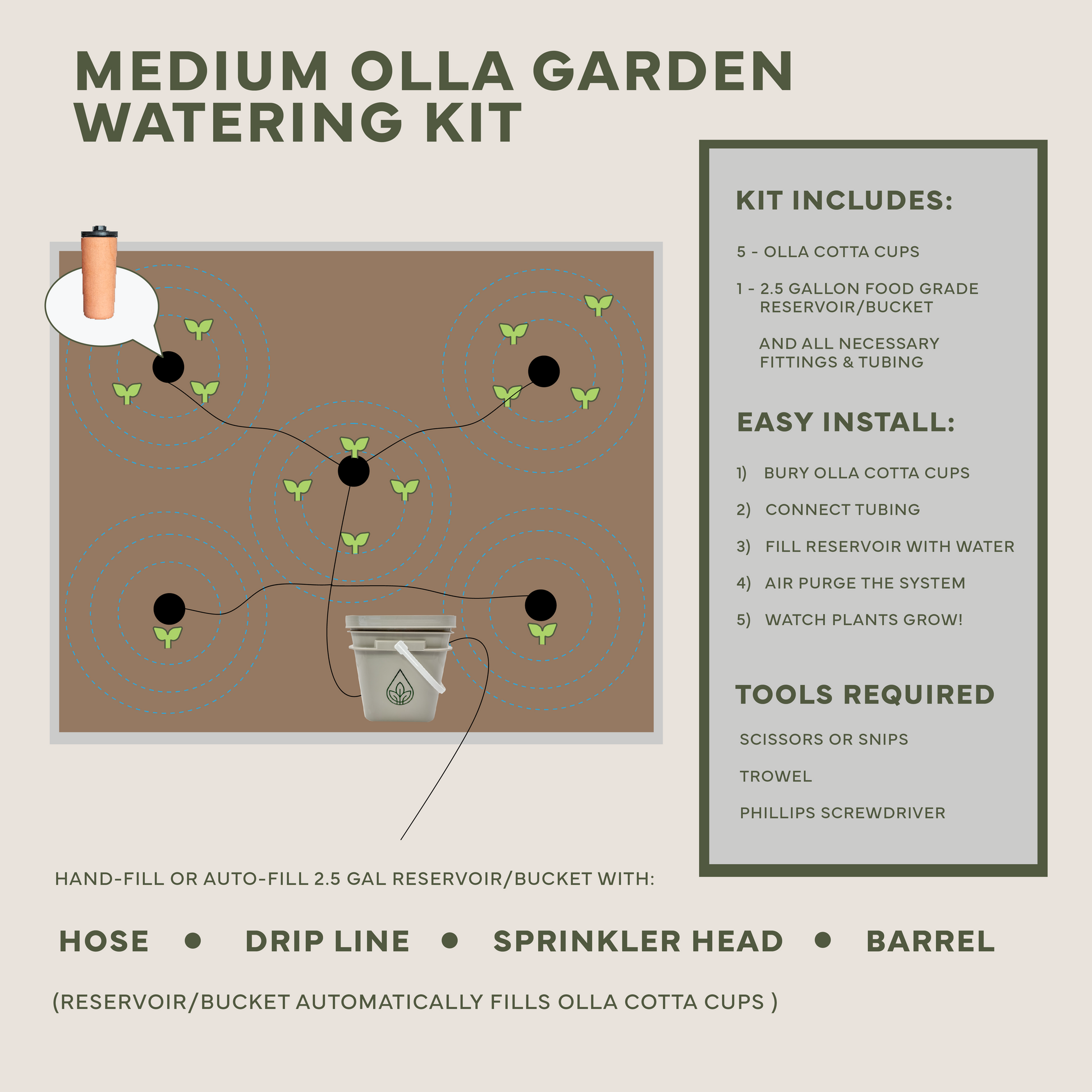 Olla Watering System: everything you need to know to get started