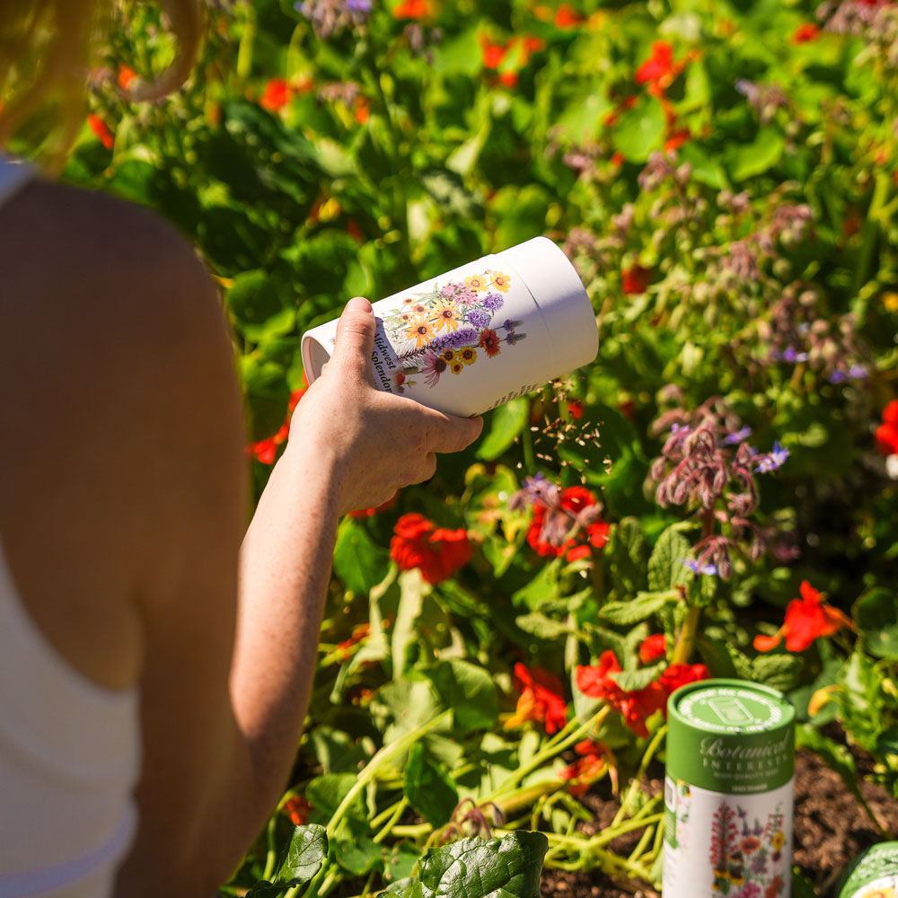 Midwest Prairie Splendor Flower Mix Seed Shaker – Epic Gardening