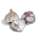 Mild Climate Garlic Bundle (Zone 9)