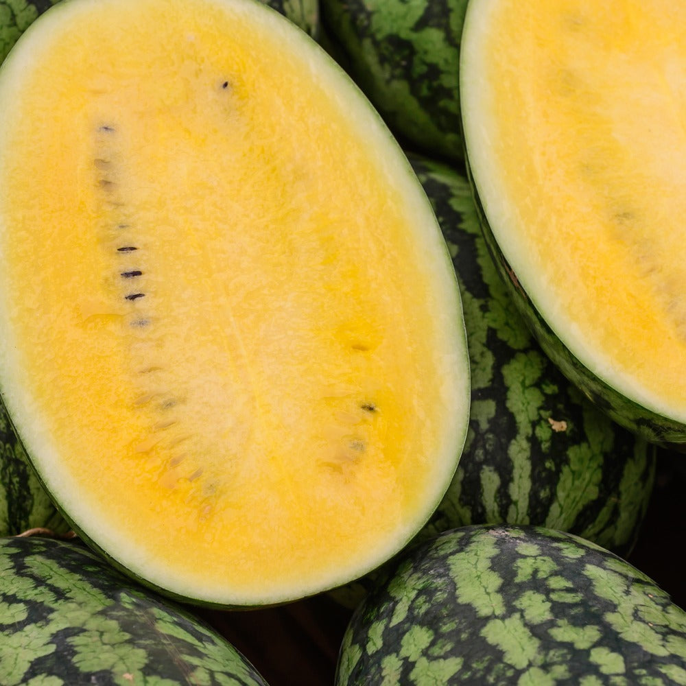 Mountain Sweet Yellow Watermelon Seeds