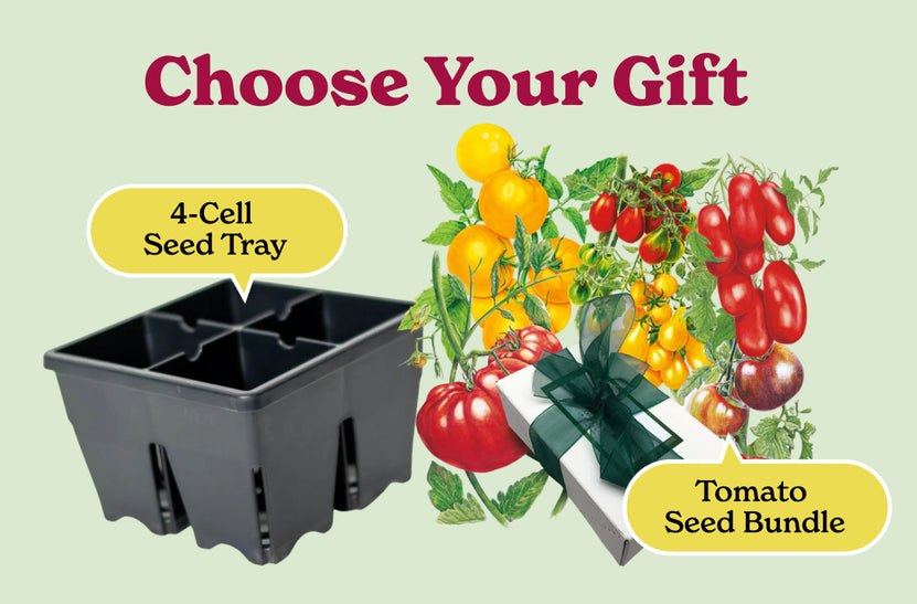 Botanical Interests Seed Sale Vegetables Epic Gardening