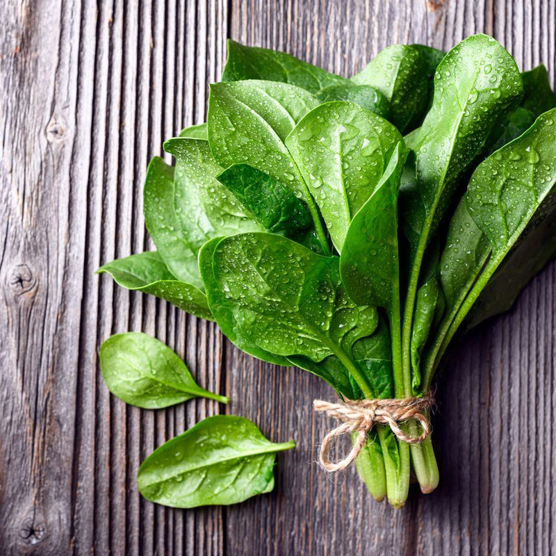 Oceanside Spinach Seeds
