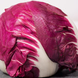 Palla Rossa Mavrik Radicchio Seeds