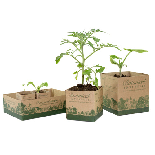 Recycled Paper Pots Product Image