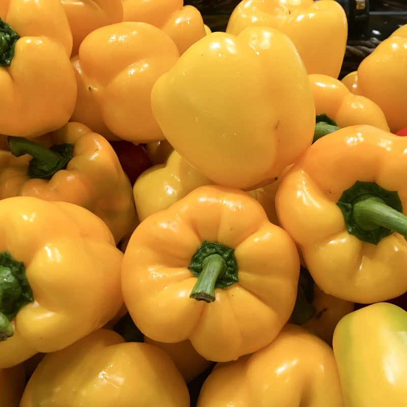 Golden Cal Wonder Sweet Pepper Seeds