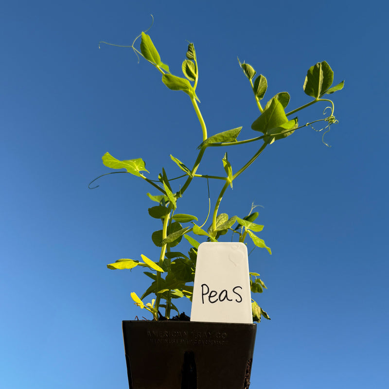 plant pot tags Epic Plant Tags