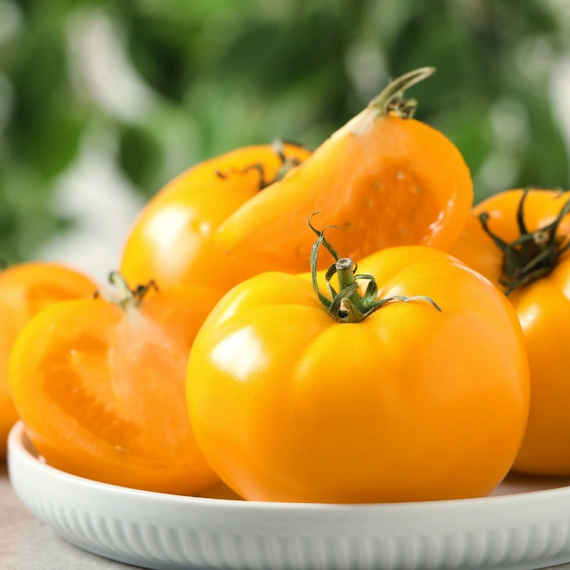 Pork Chop Pole Tomato Seeds