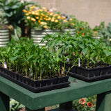 vegetable garden seed starter kit The Premium Seed Starting Kit – Epic Gardening